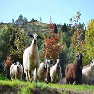 Quinta Da Mata Ξενοδοχείο Chaves Εξωτερικό φωτογραφία